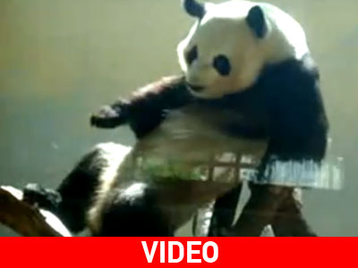 Μπες στο ρυθμό..